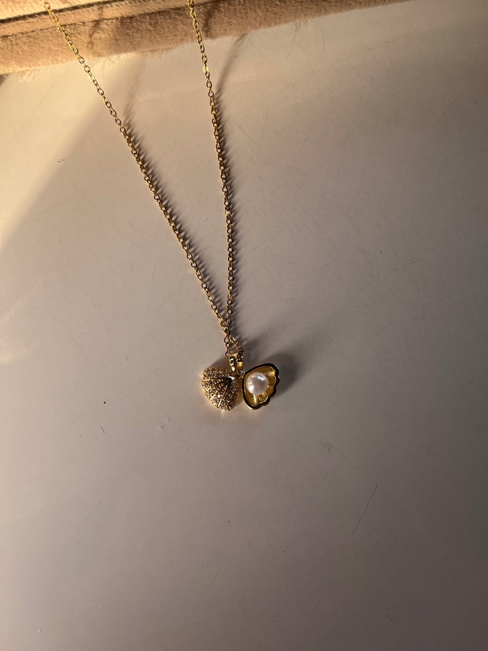 Shell with pearl necklace
